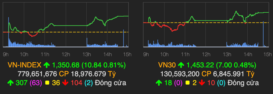 Co phieu penny dong loat day song, VN-Index tang 10 diem