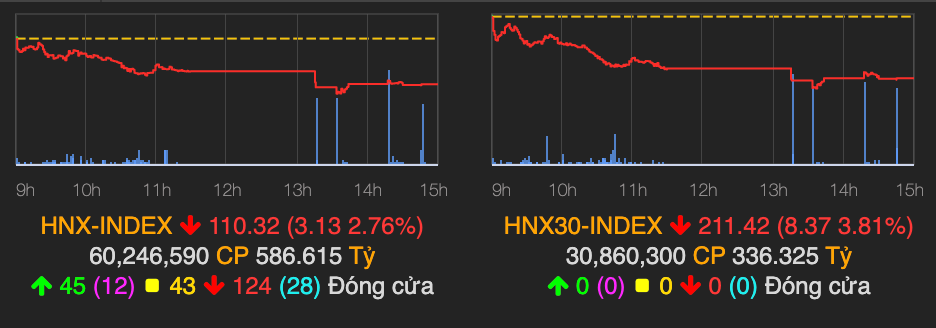 VN-Index "bay" gần 23 điểm sau cơn bán tháo cuối phiên 29/6 - Hình 2 VN-Index