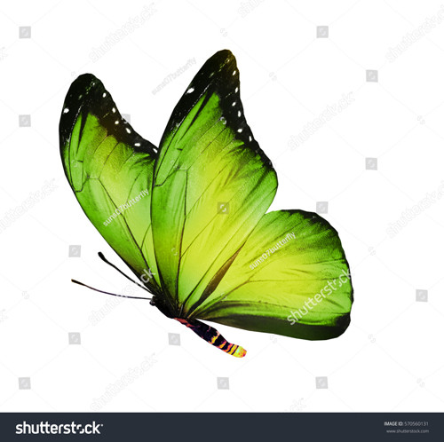 Bao Trung du doan mau trend 2024, hoa ra rat quen thuoc