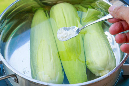 Tiến hành bóc bỏ phần bẹ, chỉ giữ lại 2 lớp mỏng trong cùng. Khi luộc, nêm 1 thìa muối, sau sôi đun nhỏ lửa chừng 10 phút. Ngô chín vớt ra để nguội, đợi ráo nước thì dùng màng thực phẩm bọc kín, cho vào túi zip trữ đông. Khi ăn, bạn cho ngô vào nồi đang sôi hoặc hấp trong vòng 10 phút, không cần rã đông. Ngô sẽ có hương vị tươi ngon như mới thu hoạch.