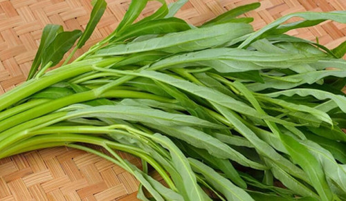 Bên cạnh những cơ sở sản xuất hữu cơ, không ít nơi lạm dụng hóa chất để thúc rau phát triển nhanh, phát triển trái mùa. Điều đáng bàn, rau muống chủ yếu ăn thân và lá. Quá trình canh tác sử dụng hóa chất, phần thân và lá mọc trên đất sẽ tích tụ lượng đáng kể, thậm chí được ví là loại rau “ngậm” thuốc trừ sâu. Dùng nước sạch từ vòi xối rửa cũng khó làm sạch hoàn toàn.