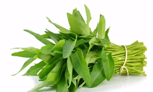 Giat minh 5 loai rau de “ngam” thuoc sau, rua bang nuoc kho sach