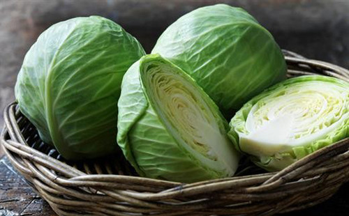 4. Bắp cải. Để bắp cải cuộn chắc và đẹp mắt, ngay từ ngày đầu trồng, nông dân đã sử dụng thuốc phun vào gốc. Bên cạnh đó, bắp cải còn liên tục được phun thuốc trừ sâu lên lá để tiêu diệt sâu bọ, côn trùng gây hại.
