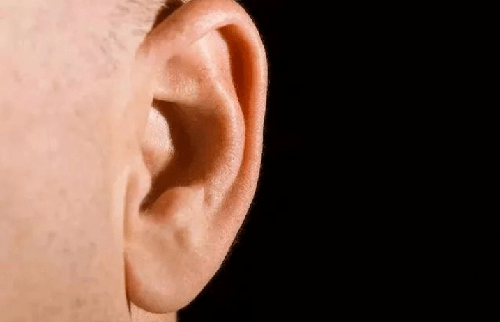 1. Tai to. Kích thước tai, đặc biệt là dái tai có quan hệ mật thiết với thận. Đàn ông thận khí tốt, chức năng cơ thể sẽ hoạt động bình thường. Ngược lại, thận khí không tốt, cơ thể dễ mắc bệnh, khó có thể giúp nam giới sống thọ. (Ảnh: SH, minh họa)