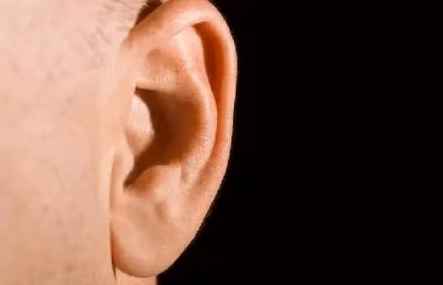 1. Tai to. Kích thước tai, đặc biệt là dái tai có quan hệ mật thiết với thận. Đàn ông thận khí tốt, chức năng cơ thể sẽ hoạt động bình thường. Ngược lại, thận khí không tốt, cơ thể dễ mắc bệnh, khó có thể giúp nam giới sống thọ. (Ảnh: SH, minh họa)