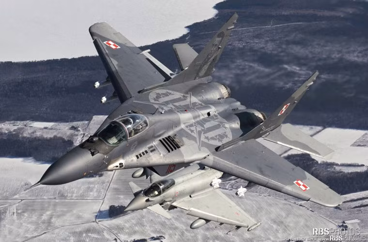 Ba Lan chủ yếu sử dụng hai phiên bản MiG-29 gồm: tiêm kích đánh chặn MiG-29 9.12A và máy bay huấn luyện MiG-29UB 9.51A. Chúng đều thuộc thế hệ đầu tiên của dòng MiG-29 lừng danh do Liên Xô sản xuất.