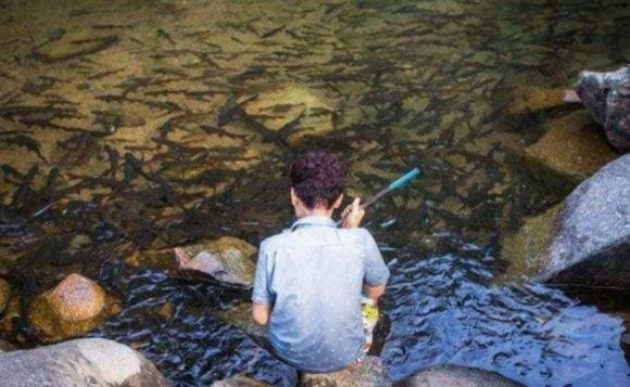 Vì một truyền thuyết nên không ai dám ăn cá ở đây Vi mot truyen thuyet nen khong ai dam an ca o day