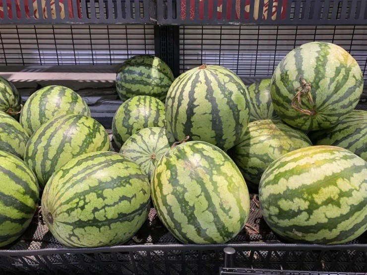 Chỉ cần vỗ dưa hấu, thu nhập hàng chục triệu mỗi ngày - Hình 2 Chi can vo dua hau, thu nhap hang chuc trieu moi ngay-Hinh-2