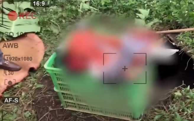 Đến hệ thống biogas được lắp đặt giữa vườn, CQĐT phát hiện có chỗ bị đục lỗ, nắp được cạy lên và dù sau cơn mưa khá to trước đó, vẫn có thể nhận thấy dấu vết cây cỏ bị xáo trộn. Sau nhiều lần kiểm tra kĩ lưỡng, gia đình chị T. cùng CQĐT mới phát hiện được trong chiếc giỏ nhựa hình chữ nhật khá nhỏ vứt dưới đáy hố biogas có xác người.