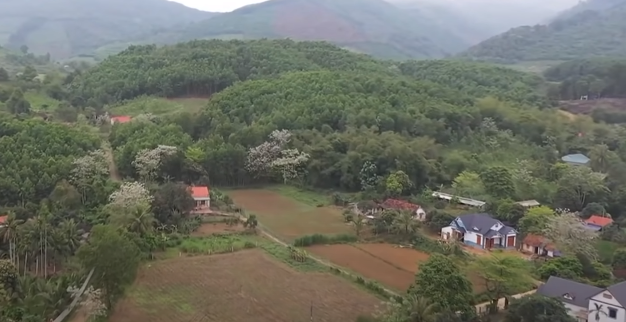 Thông tin về vụ việc sau đó cũng được nhanh chóng báo cho Công an huyện Thạch Thành bởi nơi đây vốn là miền quê rất yên bình, người dân hiền lành, lương thiện, quanh năm lam lũ với ruộng đồng; khi sự việc xảy ra, tin đồn lan mỗi lúc một nhanh, đi đâu cũng thấy người dân kháo nhau về sự mất tích của chị T., nhất là thời điểm Tết Nguyên đán đã cận kề này.