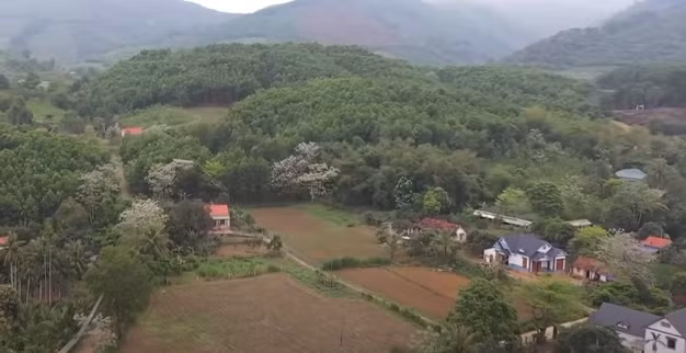 Thông tin về vụ việc sau đó cũng được nhanh chóng báo cho Công an huyện Thạch Thành bởi nơi đây vốn là miền quê rất yên bình, người dân hiền lành, lương thiện, quanh năm lam lũ với ruộng đồng; khi sự việc xảy ra, tin đồn lan mỗi lúc một nhanh, đi đâu cũng thấy người dân kháo nhau về sự mất tích của chị T., nhất là thời điểm Tết Nguyên đán đã cận kề này.