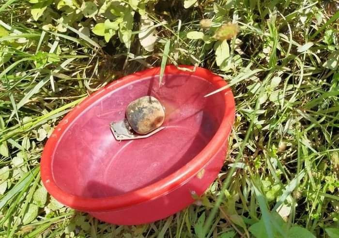  Đi mò hến, nam sinh mò trúng lựu đạn còn nguyên kíp nổ: Ngày 27/5, ông Phạm Văn Linh, Chủ tịch UBND xã Liên Thủy, huyện Lệ Thủy, Quảng Bình, cho biết, một nam sinh lớp 9 trên địa bàn xã mò trúng một quả lựu đạn còn nguyên chốt trên sông Kiến Giang. Sự việc cũng đã được thông báo đến Ban Chỉ huy Quân sự huyện Lệ Thủy và Đội rà phá bom mìn thuộc Dự án MAG để xử lý theo quy trình. 