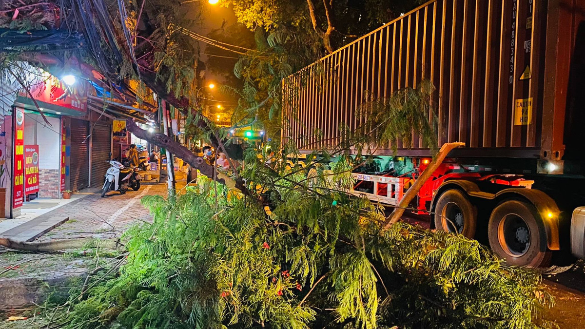 Vụ va chạm khiến một cành cây lớn đổ xuống đường. Thời điểm này, một học sinh đi xe đạp điện qua bị đè trúng. 