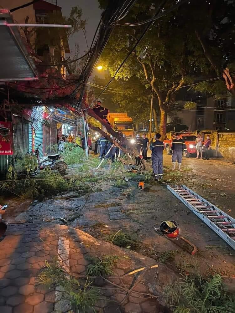 Hiện, vụ xe container va vào cây phượng, cành gãy đè trúng một học sinh đang được cơ quan chức năng điều tra, làm rõ. 