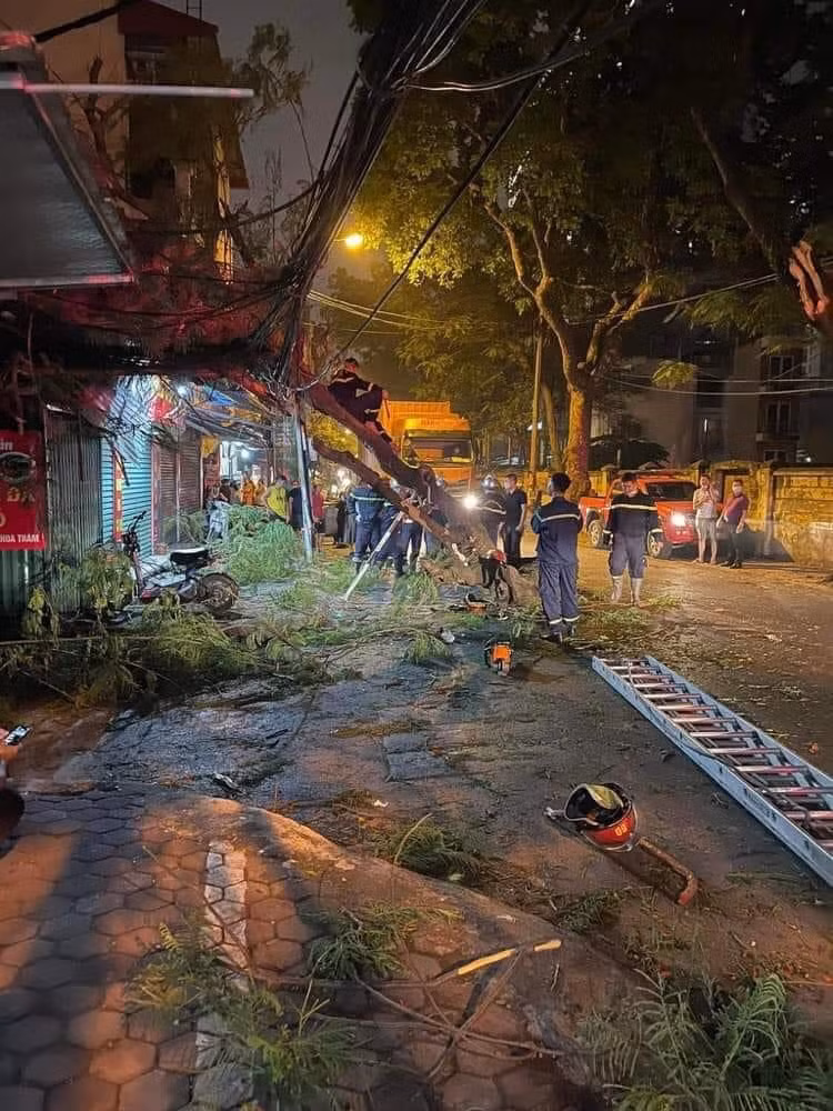 Hiện, vụ xe container va vào cây phượng, cành gãy đè trúng một học sinh đang được cơ quan chức năng điều tra, làm rõ. 