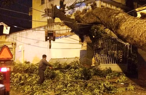 Co thu bat goc trong dem truong, dai hoc hu hong nang-Hinh-3