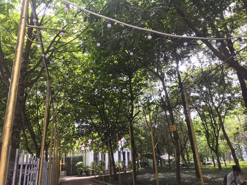 Nha hang Trong Dong Palace Linh Dam Park ngang nhien vi pham TTXD the nao?-Hinh-4