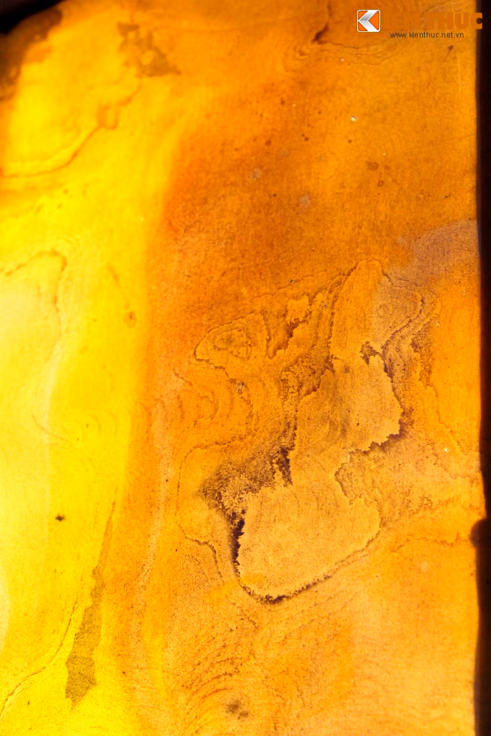 Mặt sau của chúng được gia cố từ sợi thủy tinh, sợi cotton hoặc sợi bông tạo ra 5 dòng sản phẩm: Classic, Slim, Luminaire, Fab, Marmor.