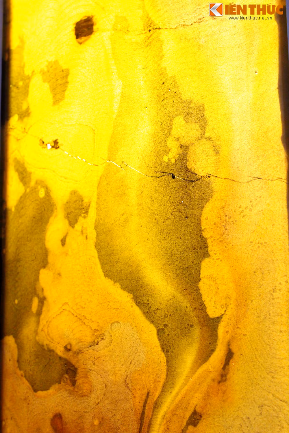 Đối với Slim, đặc điểm của dòng sản phẩm này siêu mỏng, khả năng uốn dẻo vượt trội được sử dụng chính trong ngành công nghiệp thời trang như làm giày, túi xách, ví...