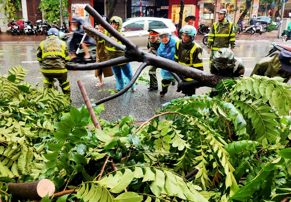 Lực lượng chức năng đang tiến hành dọn dẹp cây đổ trên các tuyến phố.