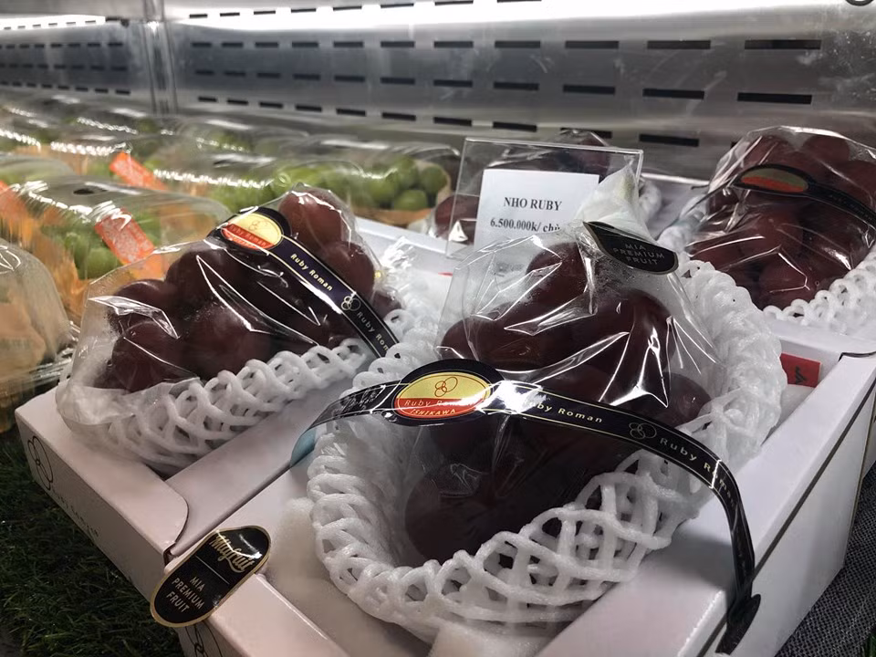 5 loại nho đắt nhất thế giới này được giới nhà giàu Việt tìm mua và gây xôn xao thời gian qua. Các loại nho này được bảo quản trong tủ lạnh ở nền nhiệt từ -8 độ đến 2 độ C để giữ nguyên hương vị và độ tươi ngon.