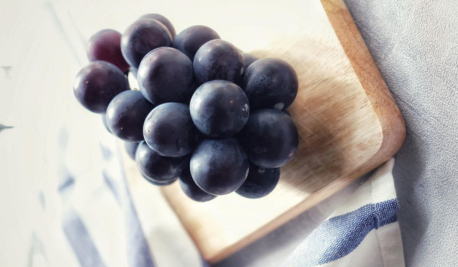 Nho Pione có đặc tính vỏ màu tím than, vỏ dầy chát nhẹ, trọng lượng trái tầm 15g. Khi thu hoạch nho đạt hàm lượng đường 14 – 17 brix, chua nhẹ, thịt nho dai dẻo như thạch jelly.