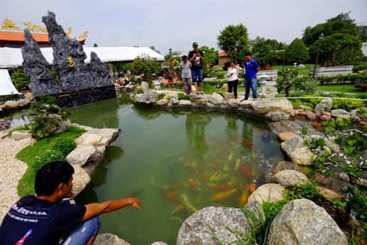 Tình cảm, sự thân thiết giữa Hoài Linh và các anh chị em trong nghề có thể chính là lý do nam danh hài ưu ái dùng tên của họ để đặt cho những chú cá "cưng" của mình.