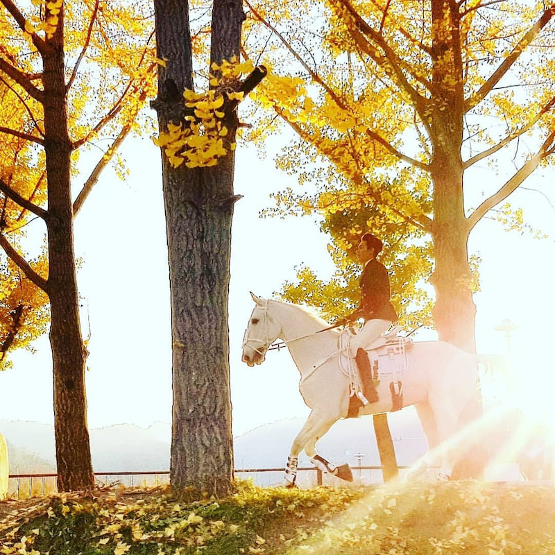"The King" đang khởi quay và dự kiến lên sóng nửa đầu năm 2020.