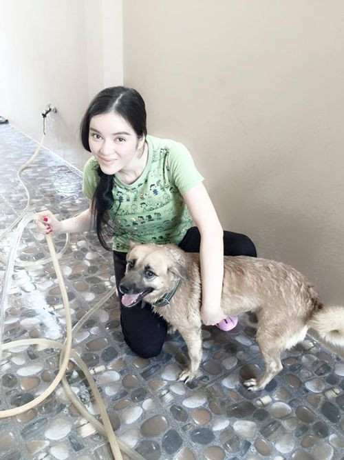 Cuộc sống giàu sang như bà hoàng nhưng nữ diễn viên chẳng ngại bất kỳ công việc tay chân nào. Cô từng khoe ảnh tắm cho thú cưng...