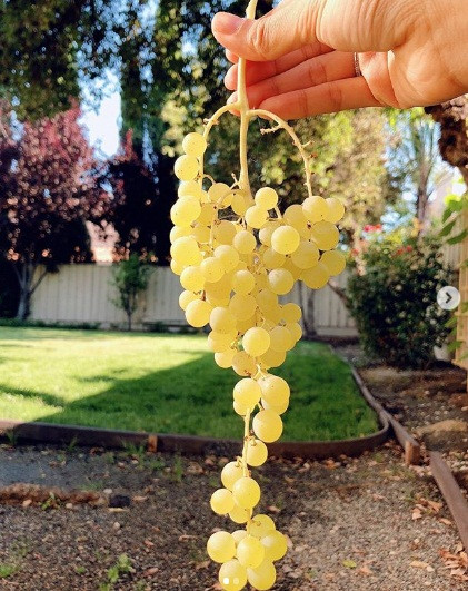 ....hay khoảng sân rộng rãi mà cô yêu thích nhất. Cô dành thời gian thư giãn, chơi đùa với thú cưng và nhấm nháp hoa thơm trái ngọt vườn nhà.