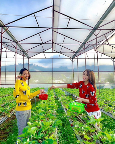 Tình cảm mà hai người đẹp dành cho nhau khiến fan ngưỡng mộ. Ảnh: Instagram nhân vật.