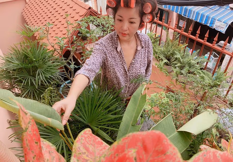 Cuoc song me don than cua danh hai Thuy Nga-Hinh-8