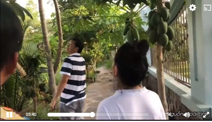 Cách đây không lâu trên trang cá nhân, nam danh hài khoe cuộc sống một ngày không đi quay kèm dòng chú thích: “Mỗi người một sở thích. Mỗi ngày tôi chọn một niềm vui". Trong clip, anh dẫn đồng nghiệp trong đó có diễn viên hài Cát Phượng đi thăm vườn cây trĩu quả trong nhà thờ Tổ trăm tỷ do tự tay mình chăm sóc. Ảnh cắt clip youtube.