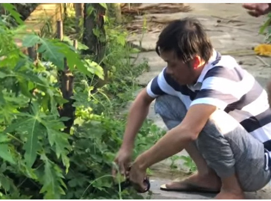 Khi không vắt sức chạy show, danh hài Hoài Linh dành phần lớn thời gian ở nhà thờ Tổ để chăm sóc vườn tược, ao cá.