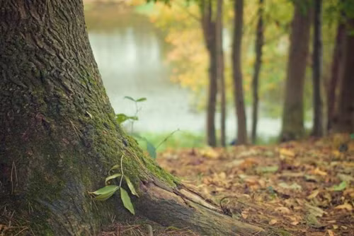 Ban gai to tuong tinh cu, chang trai lam dieu ghe ron