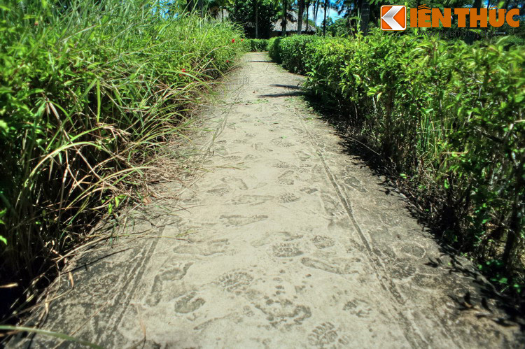 Trở lại với sự kiện ngày 16/3/1968, với chủ trương đốt sạch, phá sạch, giết sạch, lính Mỹ đã đổ bộ xuống phía tây xóm Thuận Yên thôn Tư Cung và xóm Gò thôn Cổ Lũy và bắt đầu cuộc thảm sát.