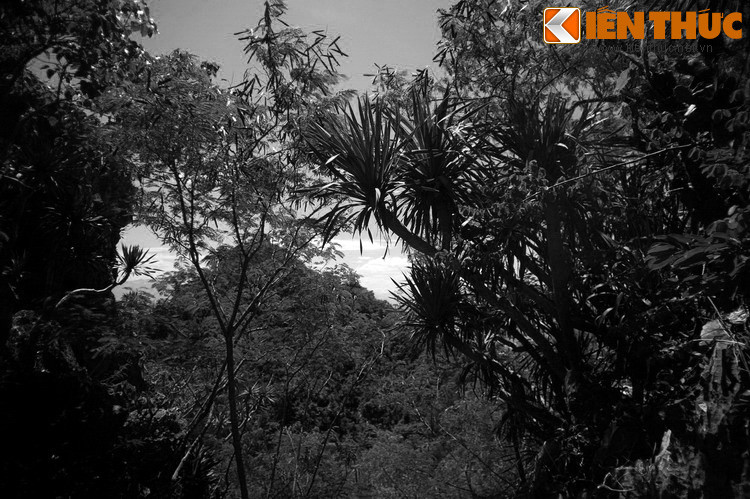 Từ đây, ông già ở bên cô gái của Long Quân như ở với con ruột của mình. Hai người sống no đủ bằng các sản vật của năm ngọn núi và dốc lòng làm việc thiện, cứu chữa dân nghèo trong vùng, khiến tiếng lành vang tới tận kinh đô.