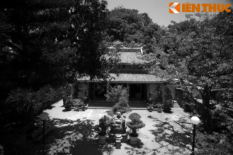 Chẳng bao lâu, nhà vua nghe tin cô gái xinh đẹp sống ở vùng núi đẹp như tiên cảnh, bèn sai quan quân mang lễ vật đến cầu hôn và cưới cô gái về làm vợ. Ông lão vô cùng buồn rầu nhưng vì hạnh phúc của người được thần gửi gắm nên ngậm ngùi tiễn đưa cô về cung.