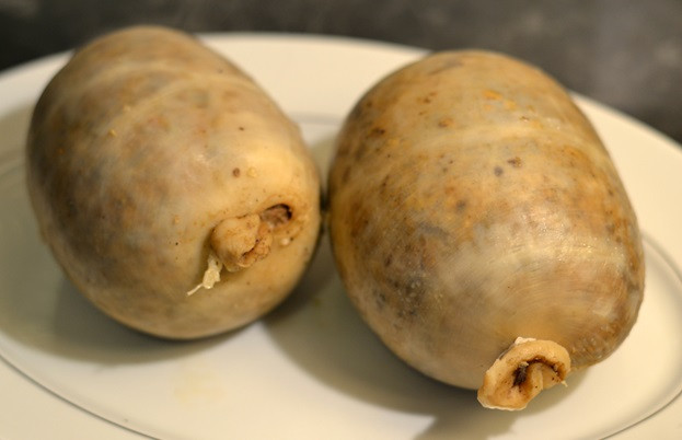 Hình dáng Haggis trông to tròn và căng đầy hơn so với dồi Việt Nam.