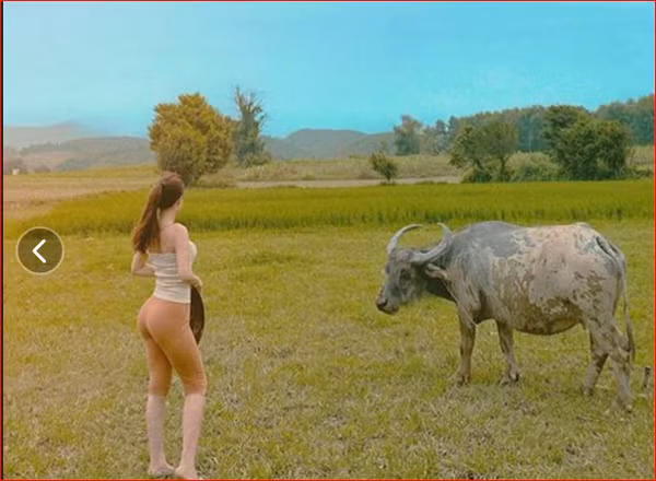 Nữ gymer Nghệ An khiến người hâm mộ đứng ngồi không yên khi diện bộ đồ ôm sát đi chăn trâu. Mặc bộ đồ phổ thông, không quá hở hang song hình ảnh này được nhiều người cho là không phù hợp khi ra đồng làm việc. Ảnh: Internet