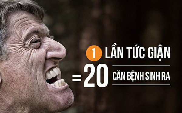 Điều chỉnh cảm xúc. Cảm xúc tiêu cực không chỉ ảnh hưởng đến mối quan hệ mà còn ảnh hưởng trực tiếp đến sức khỏe. Khi tức giận, cơ thể tiết ra lượng lớn chất catecholamine. Chấy này có khả năng làm tăng lượng đường trong máu, nồng độ axit béo, khiến chất độc tích tụ trong gan ngày càng nhiều.