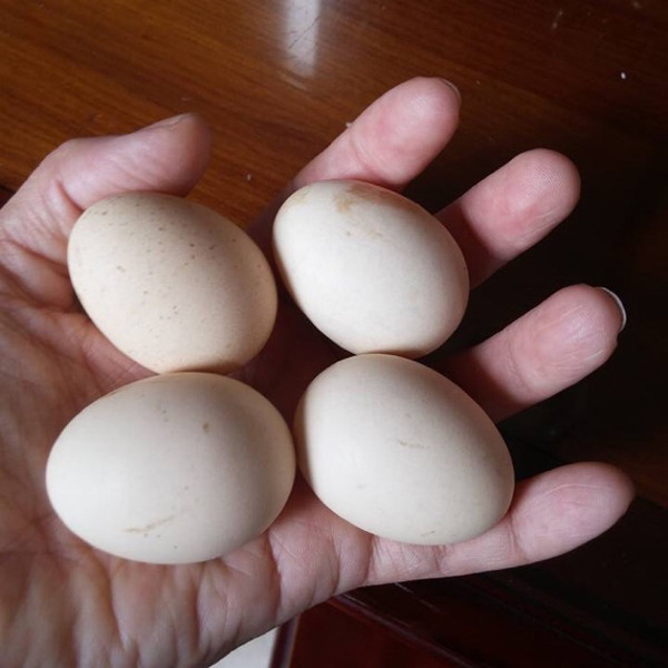 Loạt thực phẩm thổi phồng tác dụng, thực chất không cần thiết - Hình 2 Loat thuc pham thoi phong tac dung, thuc chat khong can thiet-Hinh-2