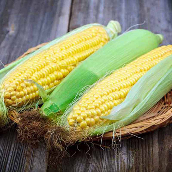 Ngoài cung cấp dưỡng chất dồi dào, ngô còn dễ chế biến thành nhiều món ngon như súp, snack, đồ uống giải nhiệt. Trong số đó, ngô luộc được đánh giá cao nhờ dễ chế biến mà vẫn giữ được vị nguyên bản.