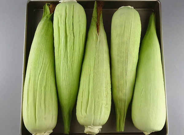 Trước khi luộc, làm sạch ngô rồi cho vào nồi. Lúc này, bạn vứt bỏ râu ngô, lột vỏ song chú ý giữ lại 2, 3 lớp gần hạt để ngô duy trì độ ẩm tốt hơn. Khi chín, ngô sẽ không bị mềm và cứng.