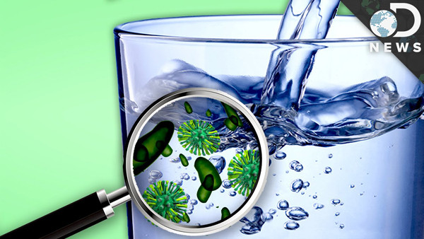 Quá trình nghiên cứu, các nhà khoa học nhận thấy sự thay đổi dễ thấy nhất khi uống nước để quá lâu là sự phân chia mô tế bào bất thường. Bên cạnh đó, tốc độ trao đổi chất trong cơ thể giảm nhiều, sức khỏe da cũng ngày càng xấu.