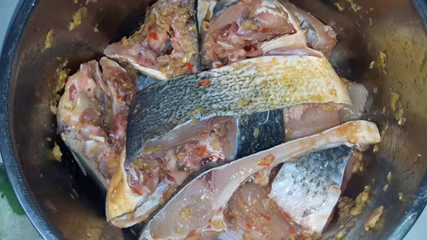 Ướp cá với muối và rượu. Muối và rượu có thể hòa tan chất gây tanh trong tế bào thịt cá. Đặc biệt, rượu dễ bay hơi nên sẽ thúc đẩy loại bỏ mùi tanh cá nhanh hơn. Ngoài ra, muối cũng có thể ức chế sự sinh sản của vi khuẩn, giảm tiết trimethylamine rất có lợi cho việc khử tanh.