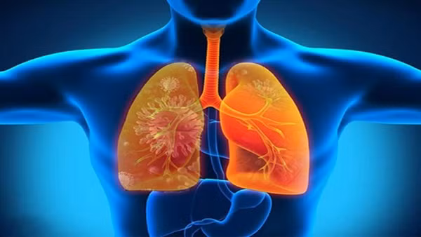 Để tự đánh giá dung tích phổi bản thân, nam giới có thể đo thời gian nhịn thở của mình. Nếu bạn dễ dàng nhịn thở trong 30 giây, điều này chứng tỏ dung tích phổi, năng lực sống của bạn rất tốt. Ảnh: Internet