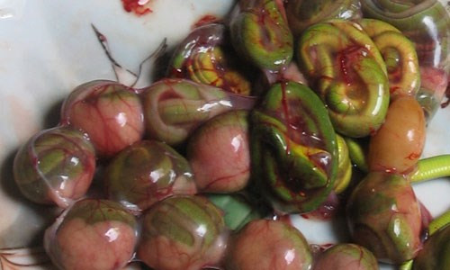 Món ăn bào thai rắn có xuất xứ từ một bài thuốc bí truyền của người Trung Quốc. Theo đó, nam giới ăn một lần món ăn đặc biệt trên thì sẽ có sức khỏe tăng gấp hai lần.