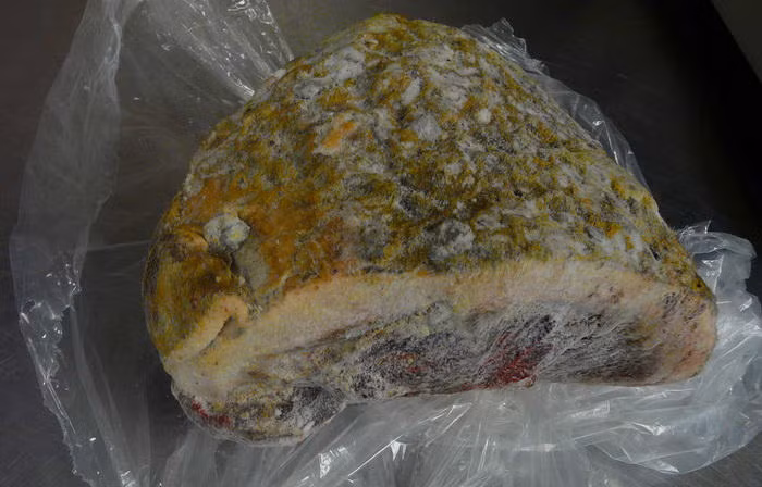 Igunaq, là món thịt vượn hoặc hươu lên men của người bản địa Arctic. Việc lên men tạo ra chất độc có thể gây bệnh hoặc tử vong. Điều thú vị là chỉ những người ăn món này từ nhỏ mới có thể thích nghi và không bị ảnh hưởng xấu khi ăn món này.