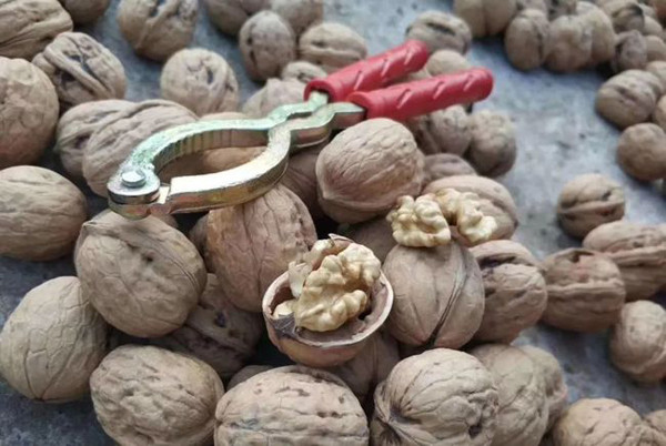 Không chỉ có tác dụng tới hệ thống miễn dịch, omega-3 còn tốt cho xương khớp, hệ tiêu hóa, đặc biệt là hệ thần kinh. Omega-3 là chất tham gia vào quá trình dẫn truyền tín hiệu giữa các tế bào thần kinh não bộ.